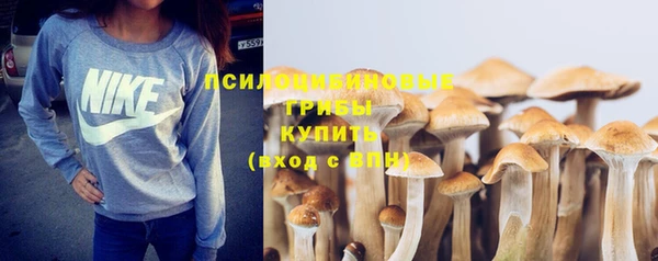 хмурый Арсеньев