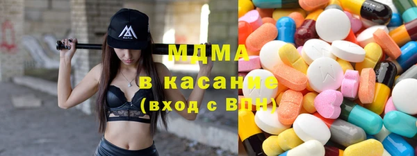 хмурый Арсеньев