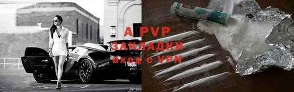 хмурый Арсеньев