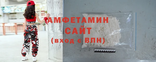 хмурый Арсеньев