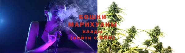 гашик Пестово