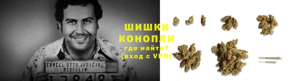 хмурый Арсеньев