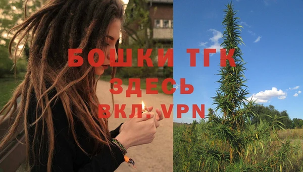 хмурый Арсеньев