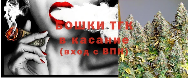 хмурый Арсеньев