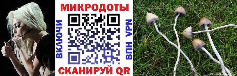гидра вход  Новая Ладога  Псилоцибиновые грибы мицелий 