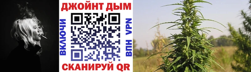 цена   Новая Ладога  Бошки Шишки OG Kush 